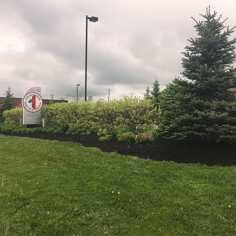 Mulch installation and landscaping at Gildas Club Barrie